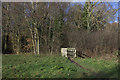 Footbridge at Buxford Meadow