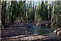 Great Stour near Buxford Bridge