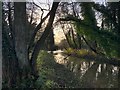 River Little Ouse near Nuns