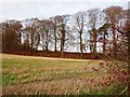 A View of the Wansdyke