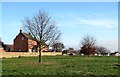 Scholes Lodge Farm field