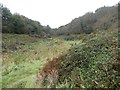 Valley above Coombe Haven