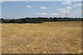 Harvested field, Humber