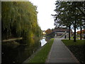 Wyrley & Essington Canal, New Cross (1)