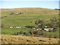 Rough pastures above High Earnwell