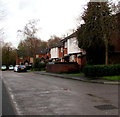 Houses at the eastern end of Wern Crescent, Nelson