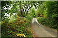 Lane near Hazelwood