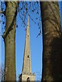 SO8454 : St Andrew's spire by Philip Halling