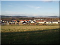 Field at Oldtown of Leys