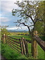 SO4590 : Farmland near Acton Scott by Stephen Richards