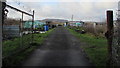 Into allotments, Nelson