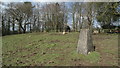 Trig point above Abbey Green, near Leek