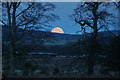 Moonset near Finavon, Strathmore