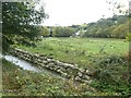 St Austell river and field at London Apprentice