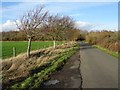 Country road near Little Comberton