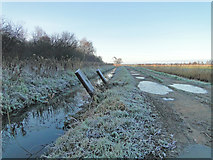 TG4318 : Frosty lane and drainage ditch on Mustard Hyrn by Adrian S Pye
