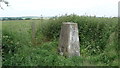 Trig point 197m SW of Bream, Gloucestershire