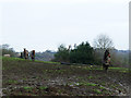 Three horses at Owlet Farm