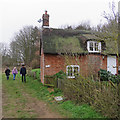 Ramsholt: a Boxing Day walk past Valley Cottage