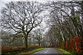 Taunton Deane : Country Road