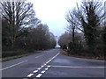 Approaching Pound Common