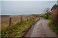 Taunton Dean : Country Lane