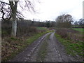 SO3290 : Rural track near Lydham by Jeremy Bolwell
