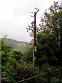 Western Power Distribution line spur pole, Ton Pentre