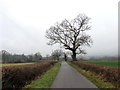 Tuag at yr A476 / Towards the A476