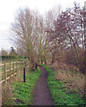 Saffron Trail Footpath near River Chelmer, Springfield, Chelmsford