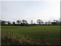 Farmland above Llanrwst