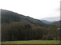 Woods above Glyn Lledr