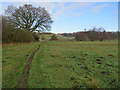 Brightwell: footpath in the valley