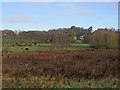 Brightwell: across the meadows towards Church Cottages