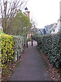 Path near Frances Green, Springfield, Chelmsford