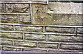 Benchmark on wall in front of #137 Halifax Road