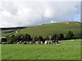 Friar Garth farm, Malham...