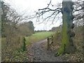 Path towards Car Park