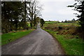 Glenhoy Road, Bloomhill / Gort