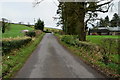 Glenhoy Road, Gort / Errigal