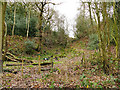 Small clough below Hunt House