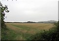 SK7505 : Field north of Oakham Road by Andrew Tatlow
