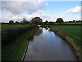 View northwards from Ashby Canal Bridge 14