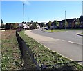 Fence between Rugby Road and park