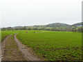 The Staffordshire Way west of Rudyard Lake