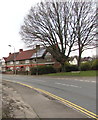 Deciduous trees and rooftop solar panels, Lodge Road, Caerleon