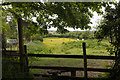 Footpath north of house named White Hall, Nouale Lane