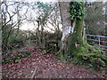 Llwybr Cefncethin / Cefn Cethin Path