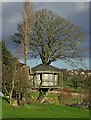 Tree house at Totley Bents