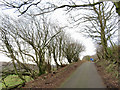 Mountain Road near Garth Hill